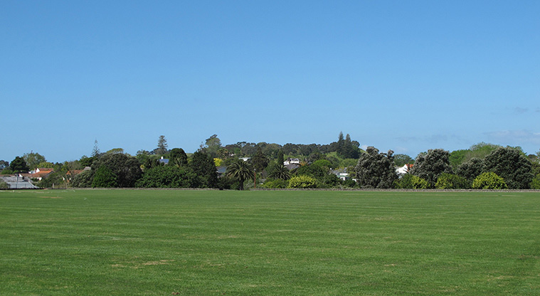 Coast to Coast Path (Grafton to Maungakiekie) – Sports field at Melville Park.